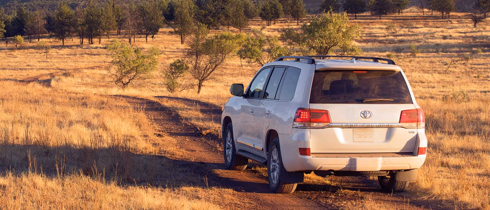 First-Time Self-Drive Visitors in Rwanda