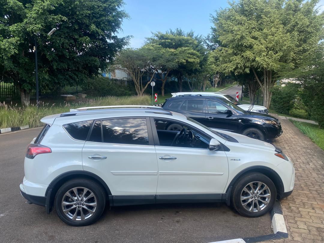 A silver 4x4 Toyota RAV4 Rental Kigali parked overlooking the rolling hills and green tea plantations of Rwanda for a self-drive safari.