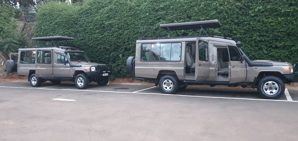 Book a car rental with driver to Volcanoes National Park for gorilla trekking. 4x4 vehicles, expert drivers, Kigali pickup. Get a quote today