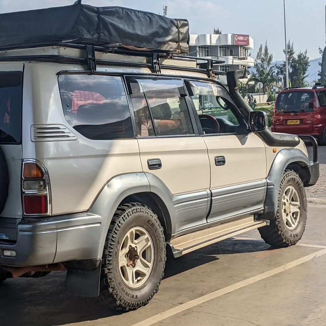 Self Drive Nyungwe National Park: Rwanda Road Trip Guide