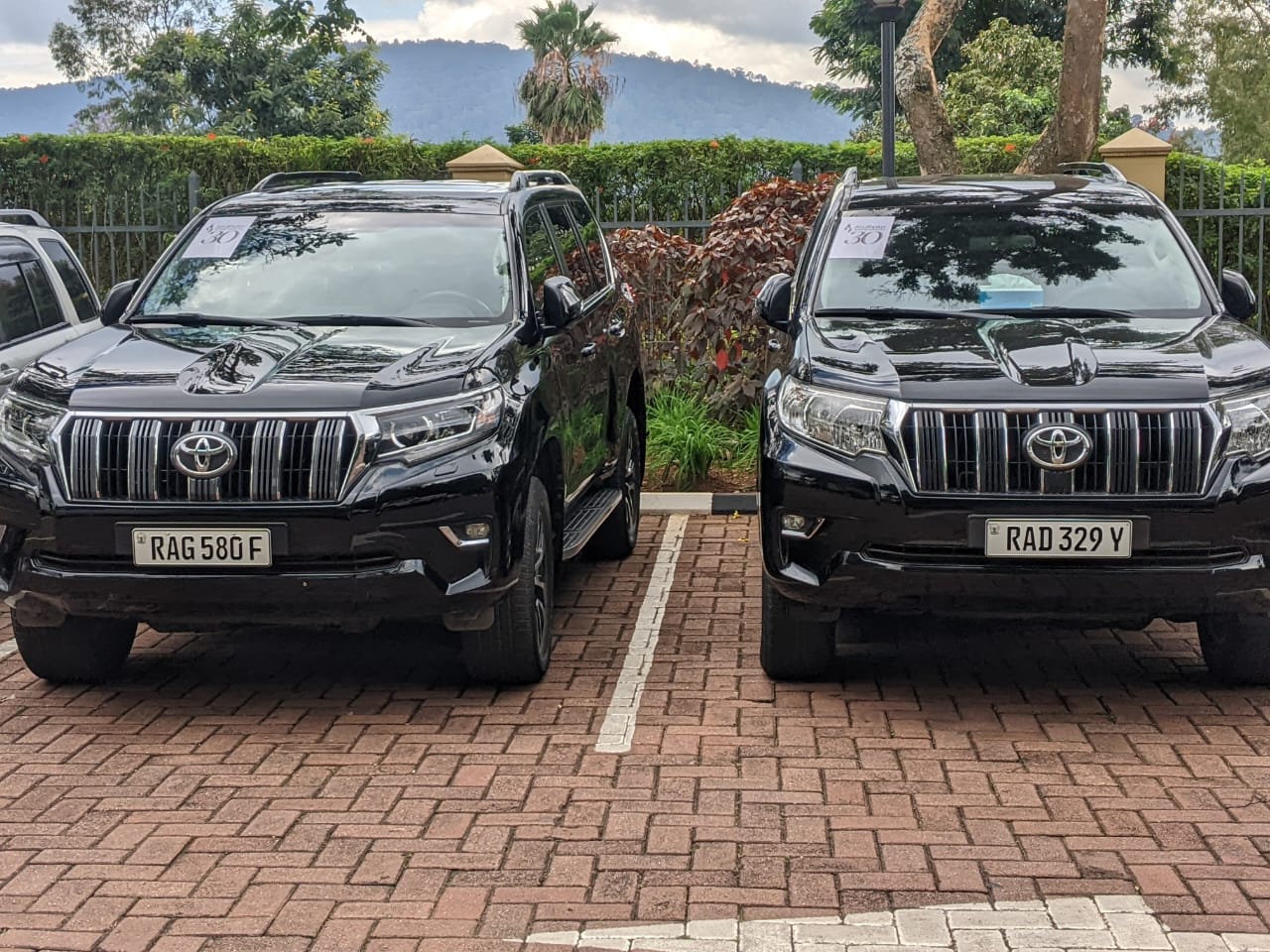 Plan gorilla trekking in Rwanda with a self-drive rental car. Compare SUVs and arrange your Kigali to Volcanoes National Park journey.